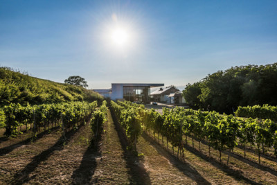Außenaufnahme der Weinberge und des Weinguts Weber in Ettenheim.